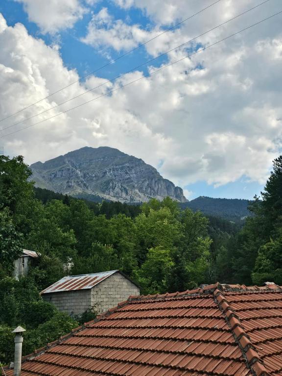 Příroda nedaleko apartmánu