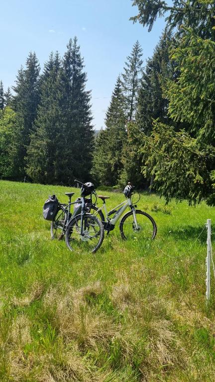 Jízda na kole v ubytování Hotel Erlebnis Wald nebo okolí