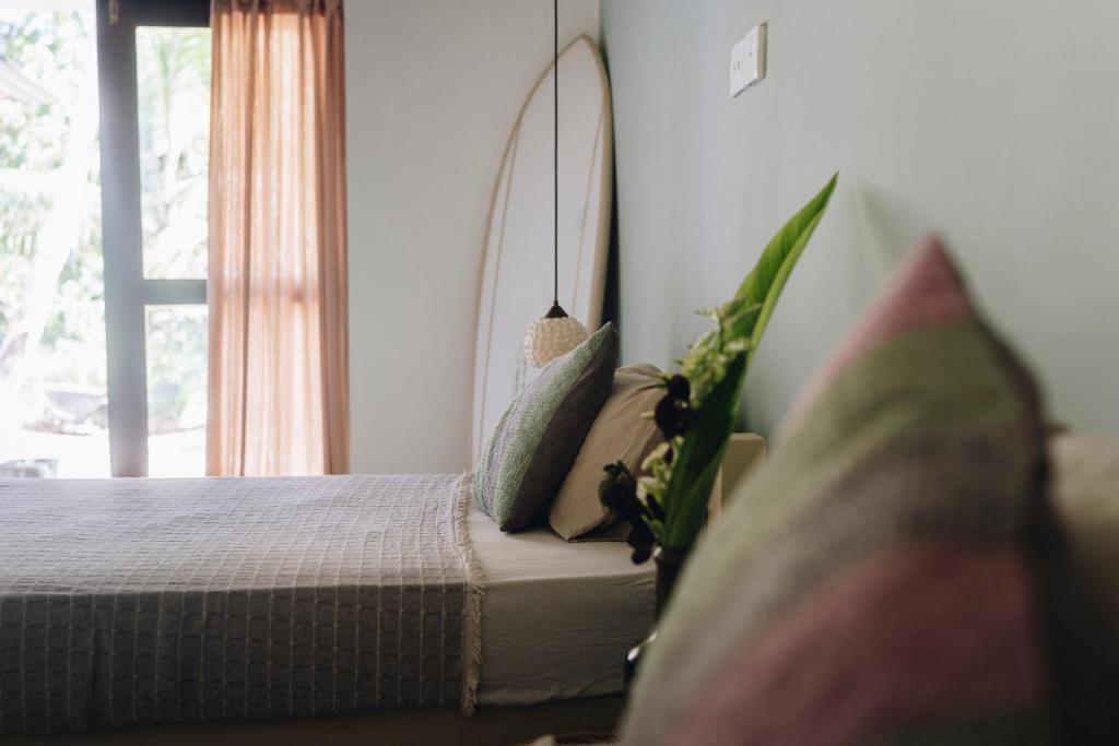 Mellow Hostel Sri Lanka - 19