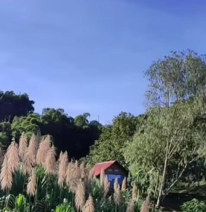 Zahrada ubytování Miradores Del Oso Perezoso