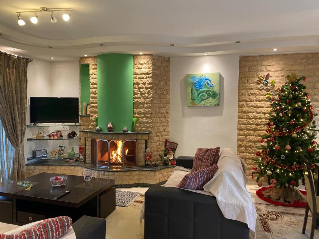 un salon avec un arbre de Noël et une cheminée dans l'établissement Aleksandras Διαμερίσματα, à Ioannina