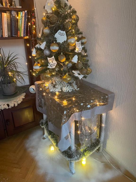 Fotografie z fotogalerie ubytování Apartman 1 v destinaci Krnjača
