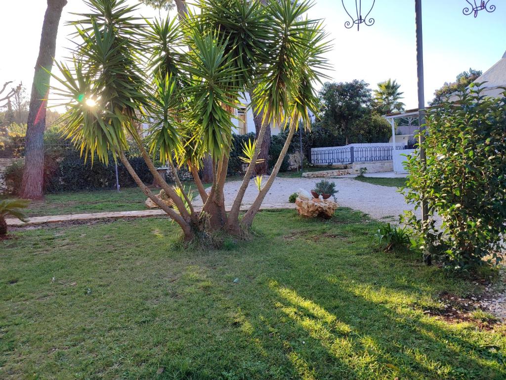 Villa don peppe - Grote Tweepersoonskamer