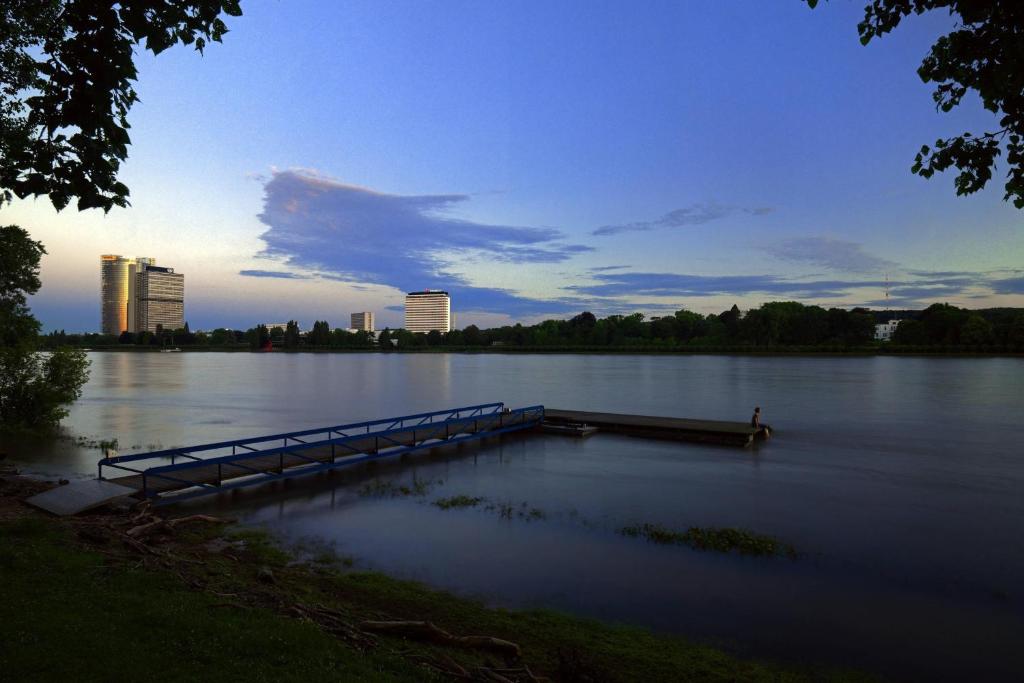 Bonn Marriott Hotel - Resim 9