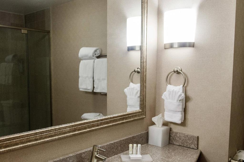Koupelna v ubytování Fairfield Inn & Suites by Marriott Somerset