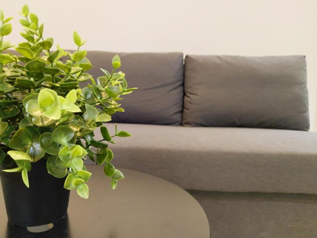Posezení v ubytování APT at G-207 in SMDC Cheer Residences