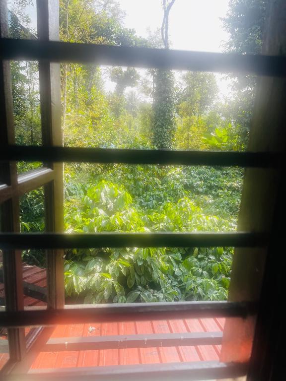 Zahrada ubytování Skyview homestay Devaramane