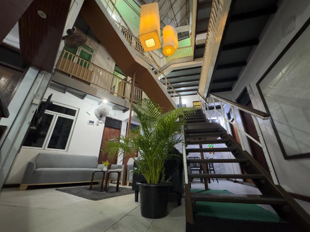 Fotografie z fotogalerie ubytování The Park House v Male City