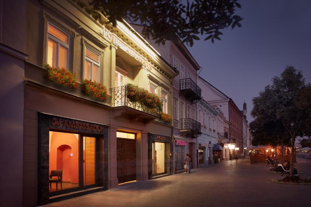 Hotel Ambassador - Resim 42