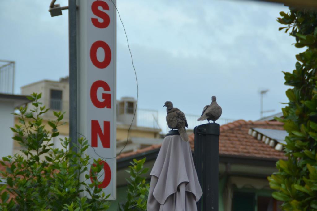 Fotografie z fotogalerie ubytování Hotel Bel Sogno v Rimini