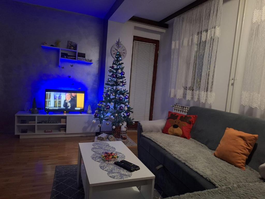 TV a/nebo společenská místnost v ubytování Apartman 19