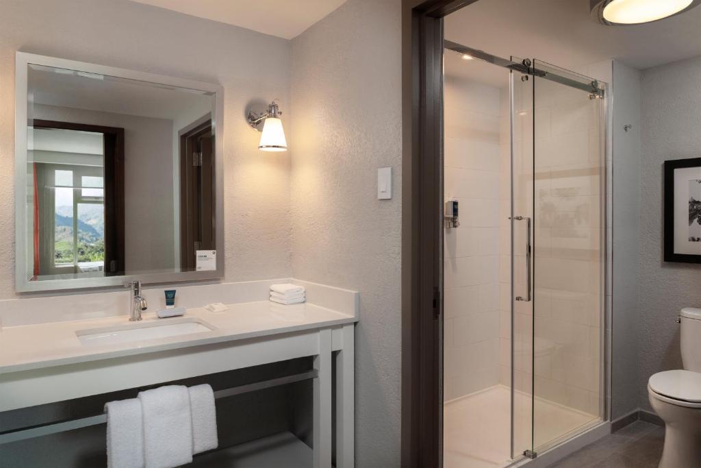 Koupelna v ubytování Four Points by Sheraton Caguas Real