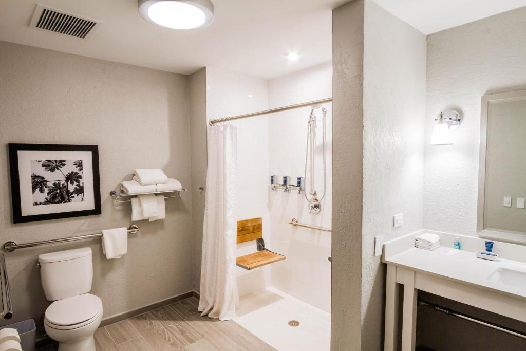 Koupelna v ubytování Four Points by Sheraton Caguas Real