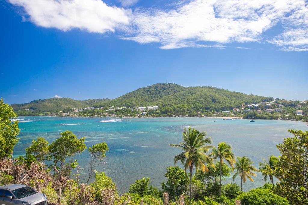 a view of a beach with palm trees and the ocean at Sublime Villa Piscine - Trésor de la Baie in La Trinité
