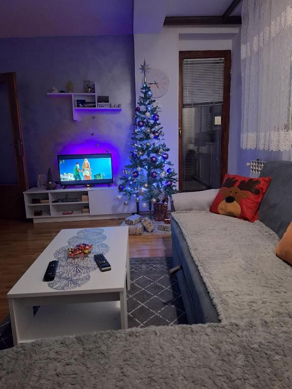TV a/nebo společenská místnost v ubytování Apartman 19