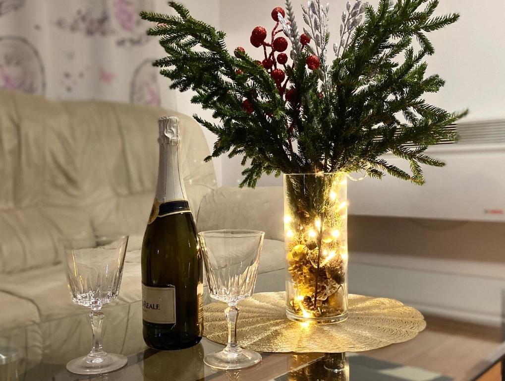 Ποτά στο Apartman Nikola