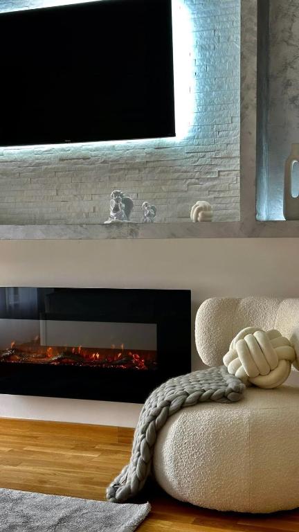 TV i/ili multimedijalni sistem u objektu Fruške 202 studio apartman