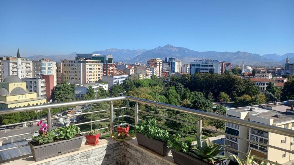 Comfort Apartment - 