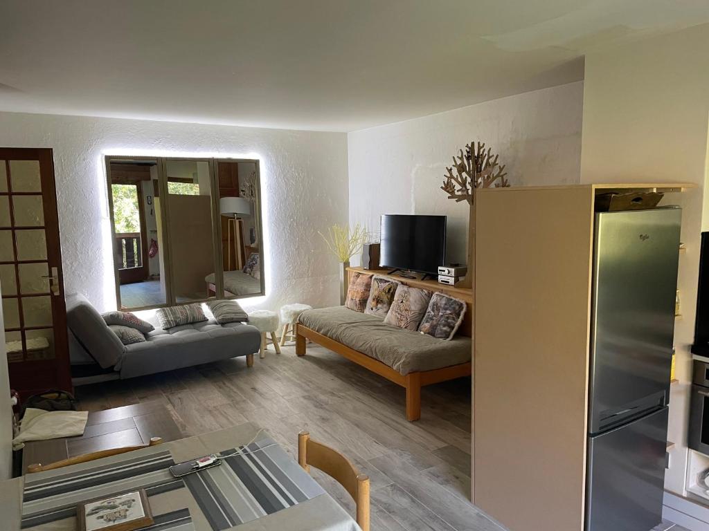 TV a/nebo společenská místnost v ubytování Grand studio Combloux - Vue Mont Blanc