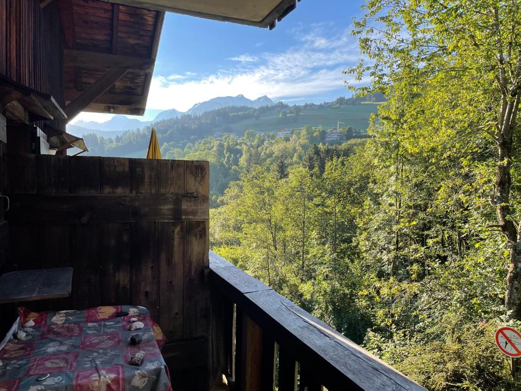 Příroda nedaleko apartmánu