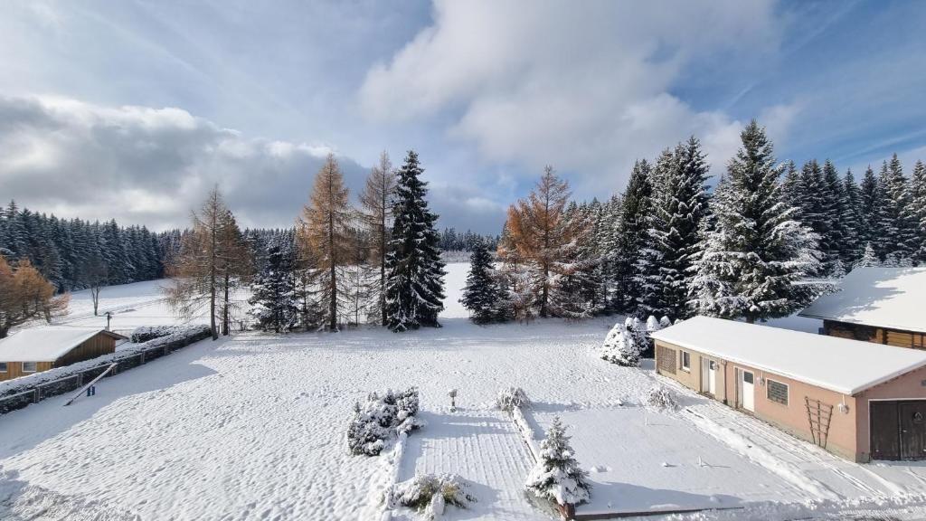 Hotel Erlebnis Wald v zimě