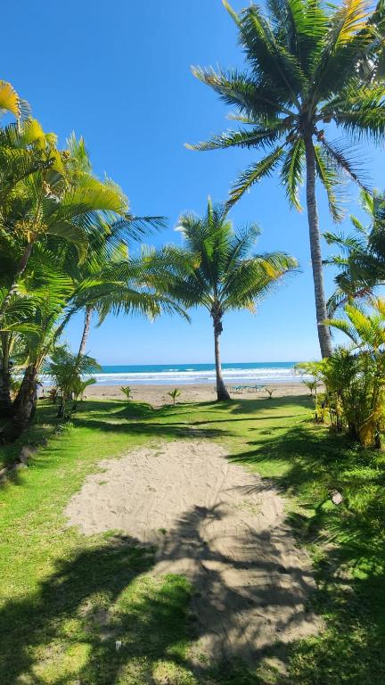 a sandy beach with palm trees and the ocean at Sunny 2-bed condo - fast WIFI in Puntarenas