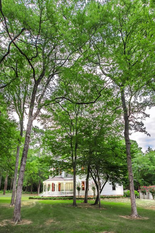 Сад в Romantic 1901 Victorian Home on Seven Wooded Acres