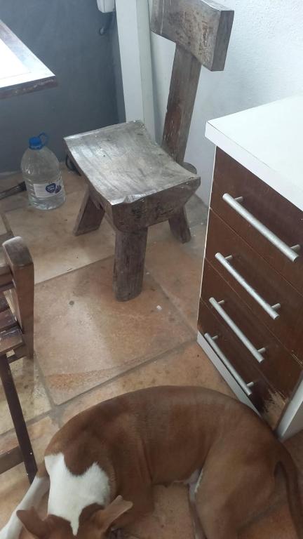 ein Hund auf dem Boden neben einem Tisch in der Unterkunft Casa DE PRAIA EM BÚZIOS RN in Nísia Floresta