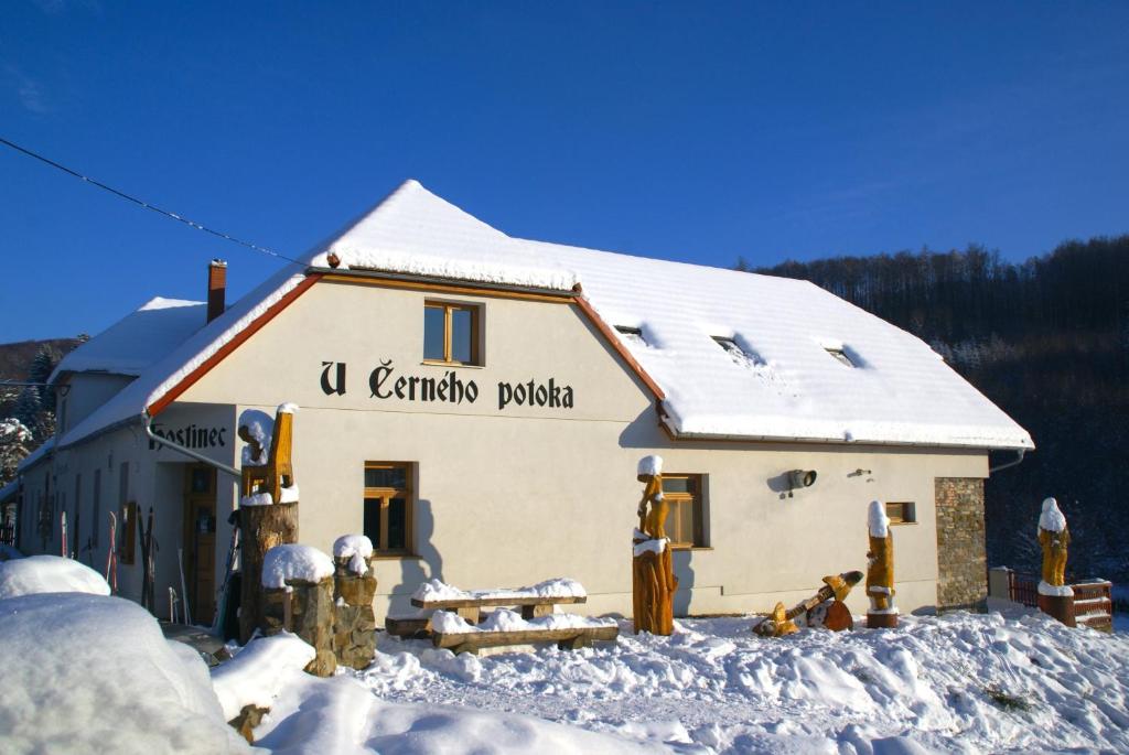 Penzion U Černého Potoka v zimě