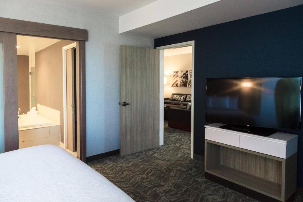 SpringHill Suites by Marriott Somerset Franklin Township - Suite King De Un Dormitorio Con Sofá Cama