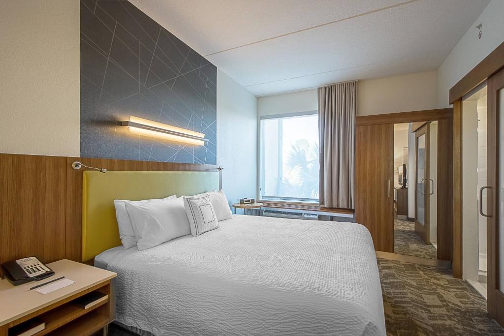 SpringHill Suites Tampa North/Tampa Palms - Studio Met Kingsize Bed En Slaapbank