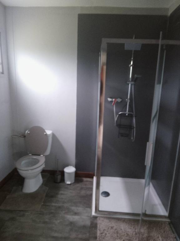 e bagno con servizi igienici e cabina doccia. di Chez Qaeko a Lifou