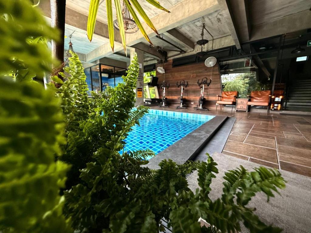 Dense tropical planting frames a covered pool and a small lounge area.