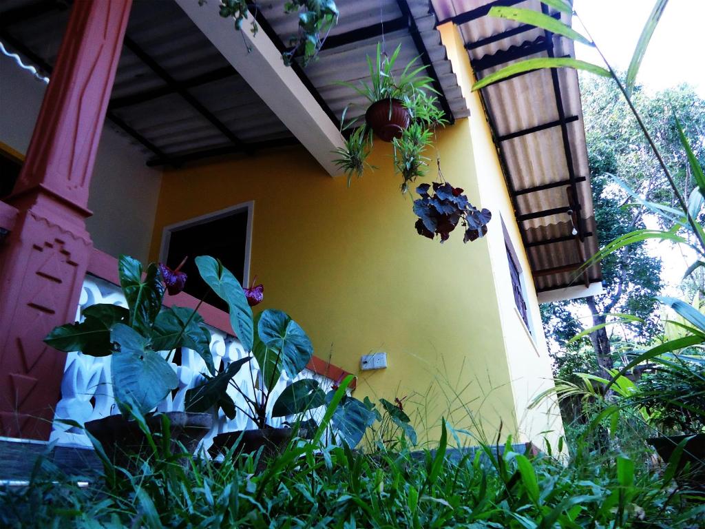 Zahrada ubytování Sigiri Sithru Home Stay