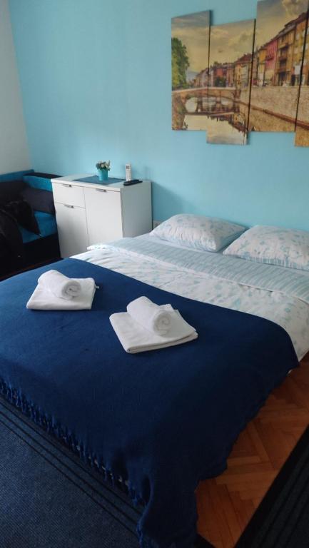 萨拉热窝Mona Blue的卧室配有2条毛巾。