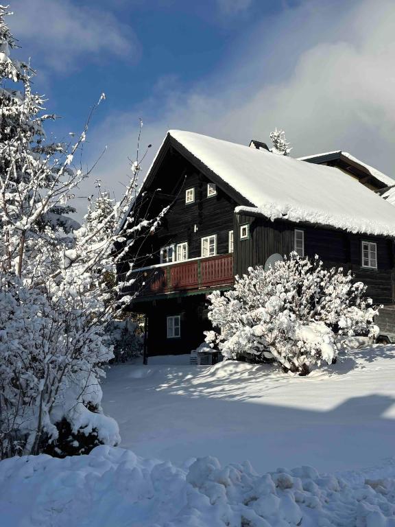 a house covered in snow with trees and bushes at Knollhäusl in Ramsau am Dachstein