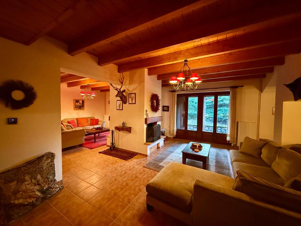 エプタロフォスにあるAnemoria Chalets-Castalia Chaletのソファと暖炉のあるリビングルーム