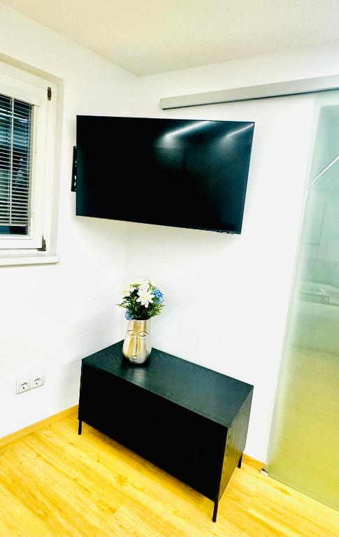 TV a/nebo společenská místnost v ubytování Ferienwohnung Wanderlust