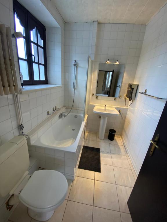 Koupelna v ubytování Le Tri Renard Spa