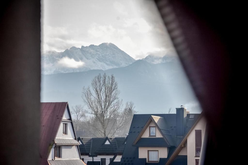 DW Maria 1 Zakopane - 14