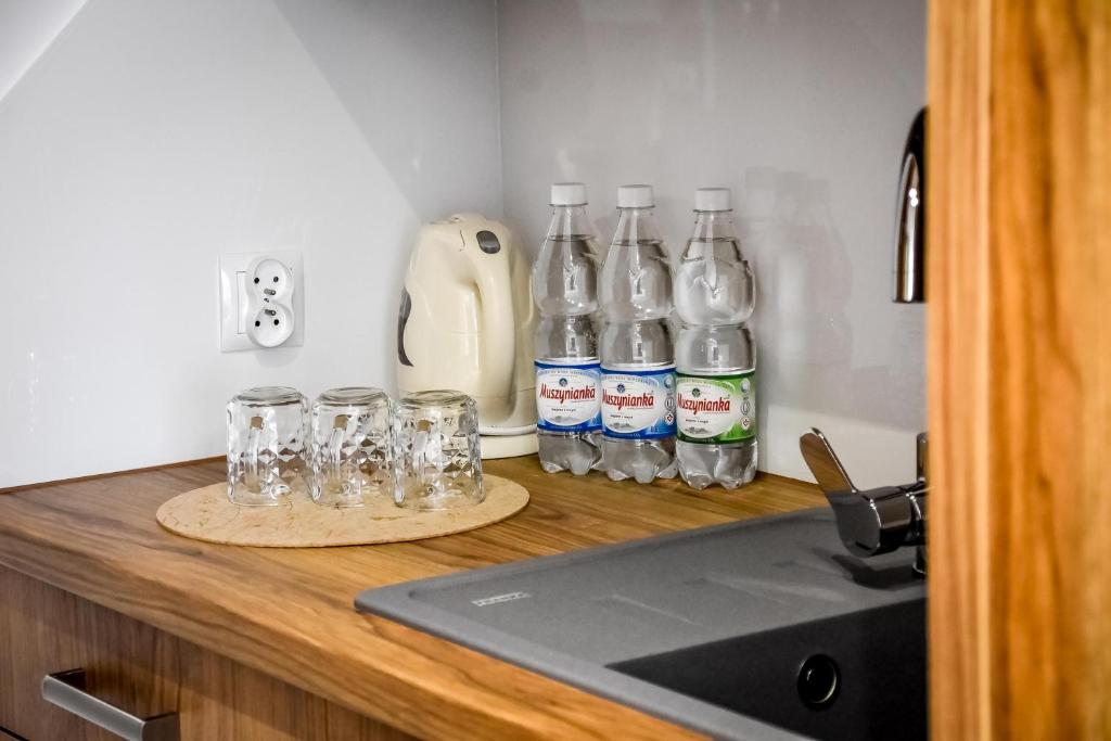 DW Maria 1 Zakopane - 15