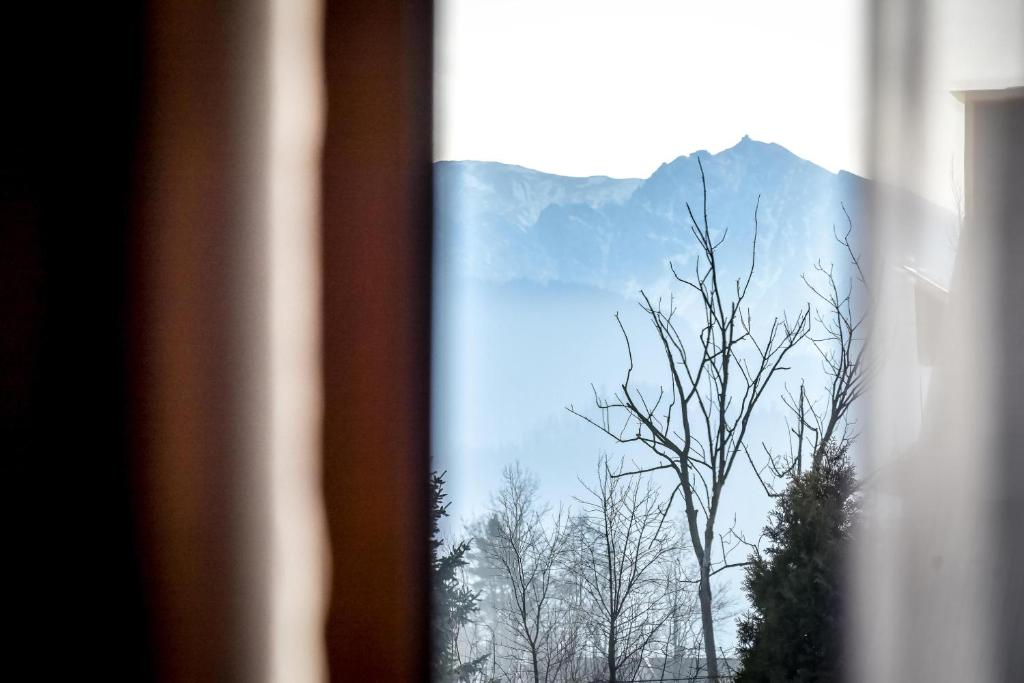 DW Maria 1 Zakopane - 16