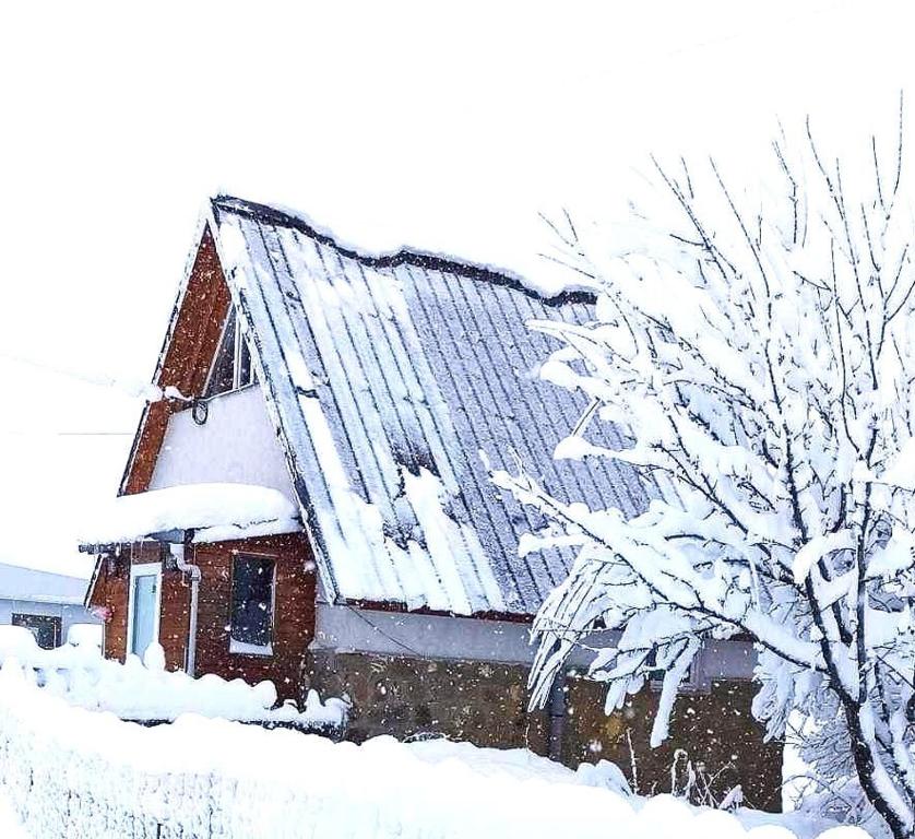 Cottage Gudauri v zimě