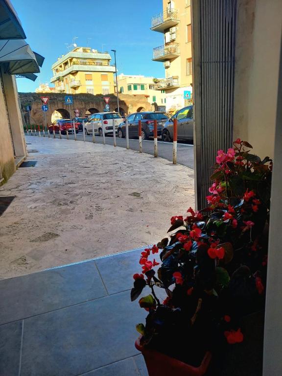 a plant in a pot on a sidewalk next to a street at Casa delle begonie in Rome