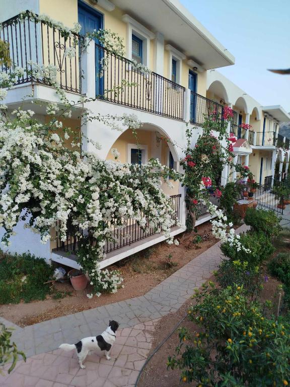 Castellania Hotel Apartments - Studio (2 Adults)