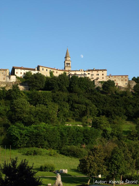 Příroda nedaleko apartmánu