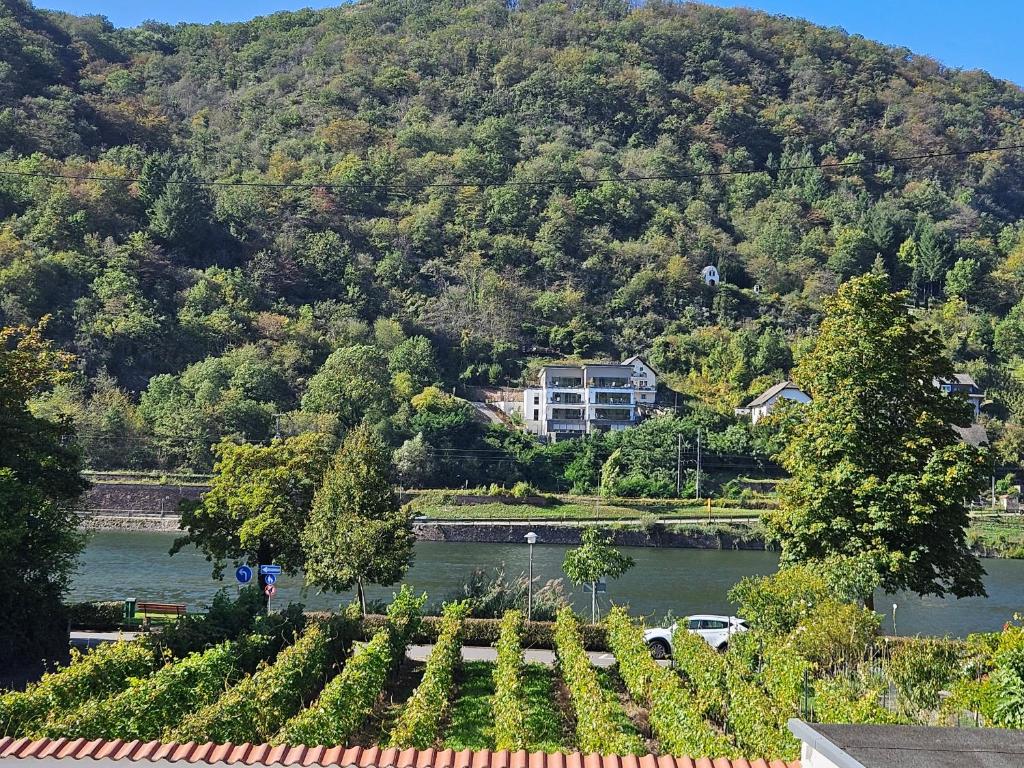 a house on a hill next to a river at Hakans moselblick Ferienwohnung 2 in Treis-Karden