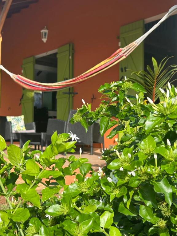 Zahrada ubytování Villa Terracotta, vue mer imprenable