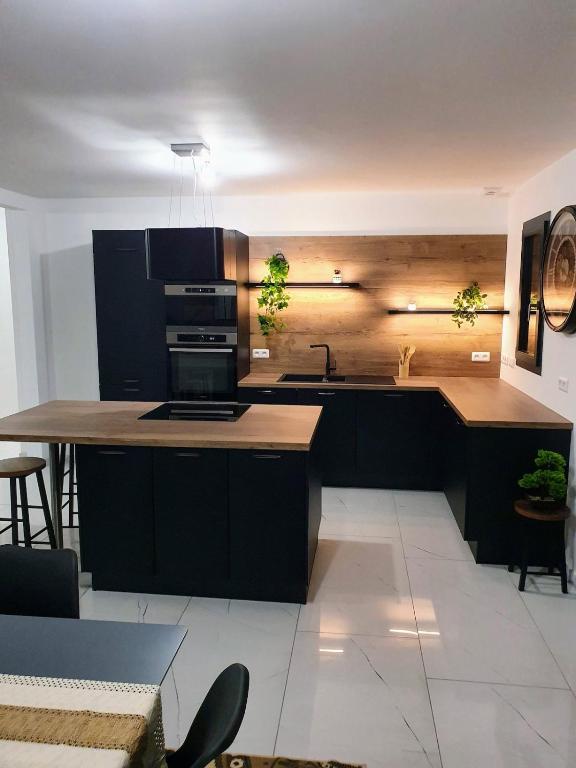 - une cuisine avec des placards noirs, un évier et un comptoir dans l'établissement Ideal 24h Le Mans and horse European pole, à Savigné-lʼÉvêque