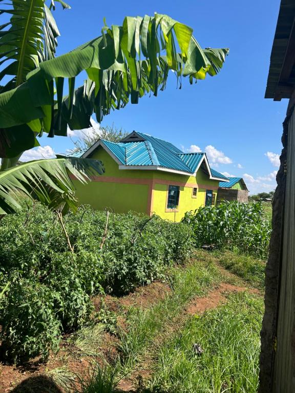 a yellow house with a green roof in a field at Sammyvero farm in Chala